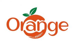 ornage-e1622904364432-300x183